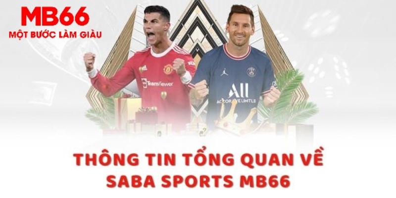 ty phu 88 trực tiếp xổ số miền bắc