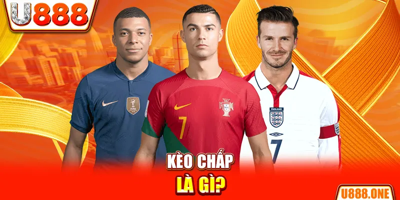 ty phu 88 chổi lông gà
