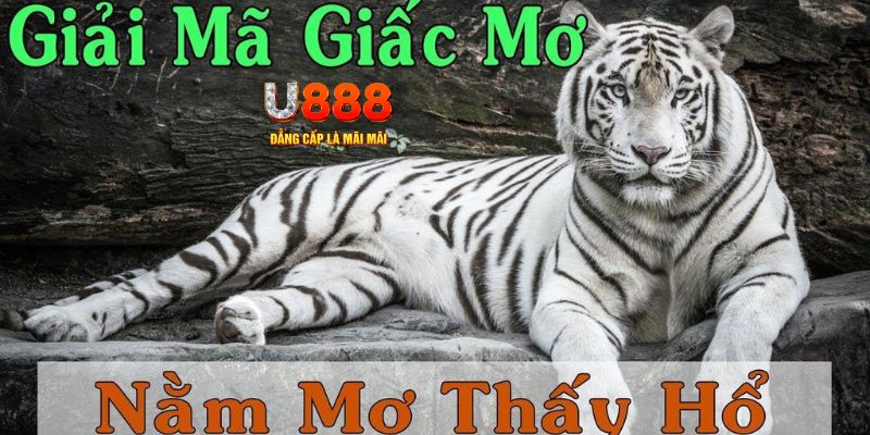 ty phu 88 xổ số kiến thiết miền bắc