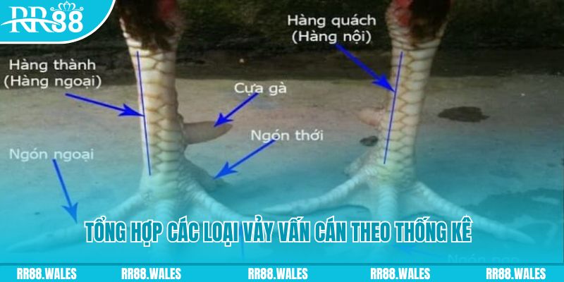ty phu 88 nổ hũ chơi như thế nào