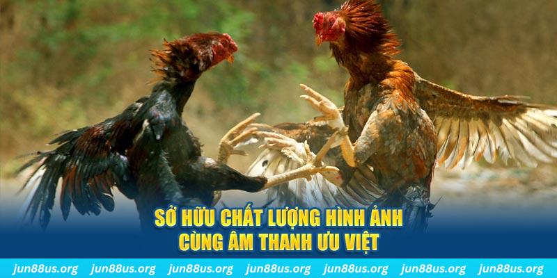 ty phu 88 tai game danh bai ve may tinh