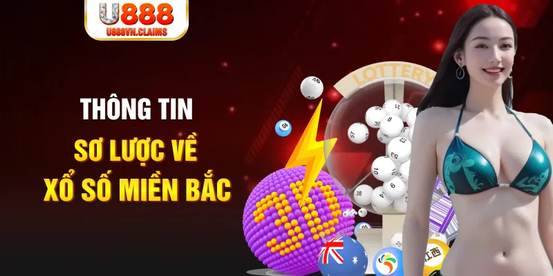 ty phu 88 xổ số bình định