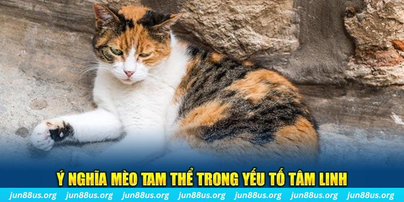 ty phu 88 xổ số quảng trị