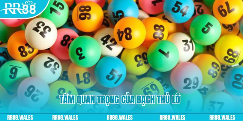 ty phu 88 đá gà trực tiếp casino