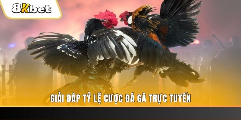 ty phu 88 xổ số ba đài