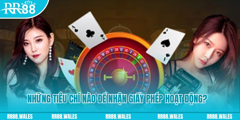 ty phu 88 casino ở đâu
