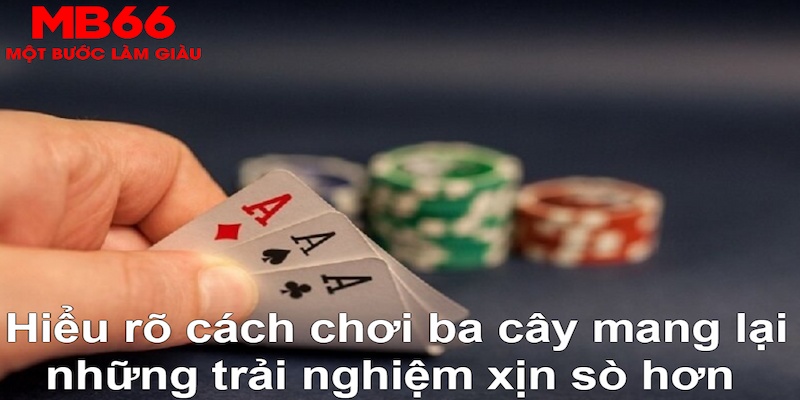 ty phu 88 ÁT CHỦ BÀI GIÀNH LẤY ZHUANG NIUNIU ( XEM 3 LÁ )