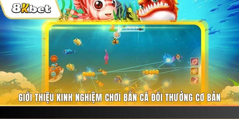 8 bí ẩn chơi nổ hũ ít ai biết