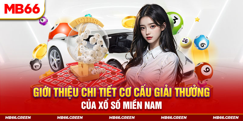 ty phu 88 PP Điện Tử