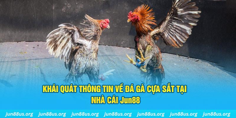 ty phu 88 game bài trên máy tính