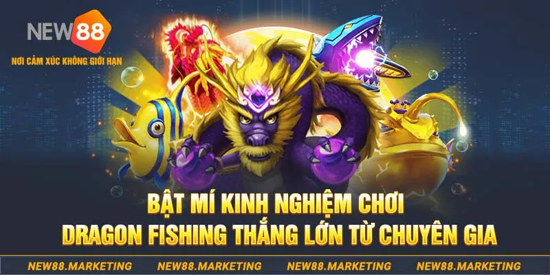 ty phu 88 who wants to be a millionaire slot