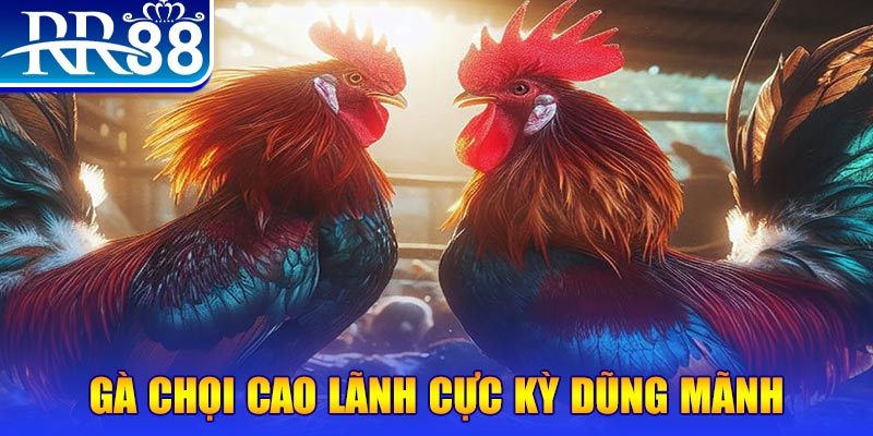 ty phu 88 natural” trong baccarat nghĩa là gì？